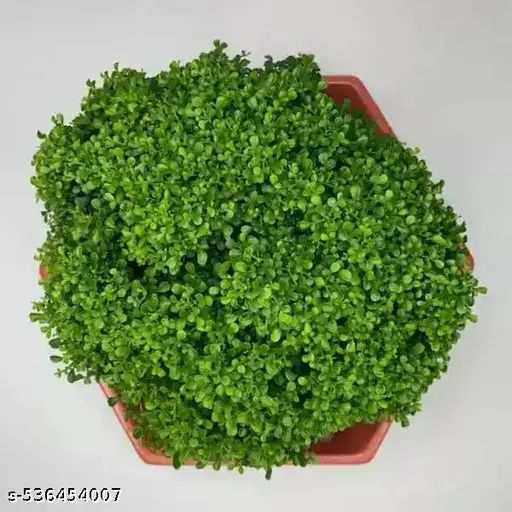 83xzq_512.webp